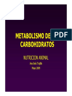 Metabolismo de Carbohidratos