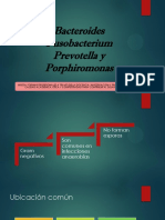 3 Bacteroides-Diapos