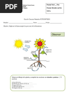 Prueba de Naturaleza 6 Basico