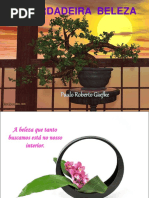 ikebana - o que somos por dentro.pps