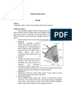 LKS Praktikum Anatomi Akar, Batang Dan Daun