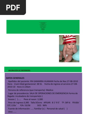 Nic Noc Nanda De Gastrosquisis Pdf