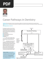 Career Pathways in Dentistry