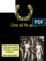 Cine Sa Fie Sef