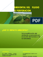 Impacto Ambiental FP