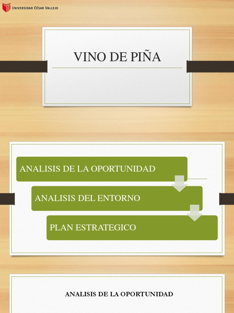 Proceso de Elaboración del Vino de Piña | PDF | Vino | Producto (Negocio)
