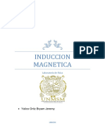 Induccion Magnetica