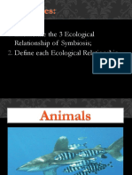 Ecological Relationship