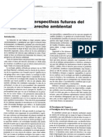 Perspectivas Futuras Del Derecho Ambiental PDF