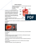 Estómago, Hígado y P.ancreas