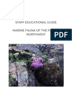 Marine Fauna Guide