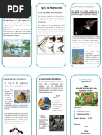 Triptico Adaptacion de Los Seres Vivos