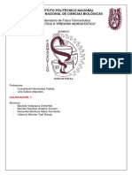 Practica 5 Presión Hidrostática