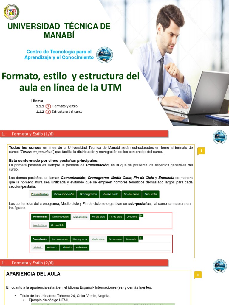Formato, Estilo y Estructura Del Aula en Línea de La UTM PDF | PDF ...