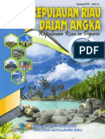 Dda Kepri 2008 Bps