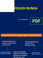 Morfologi Bunga PDF