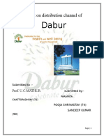 44955360-A-Project-on-Distribution-Channel-of-DABUR.doc