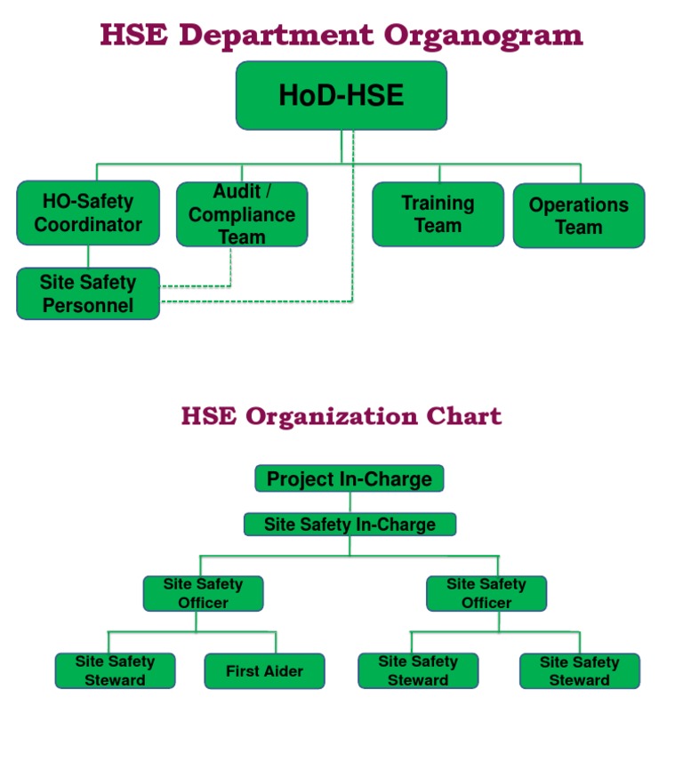 hse-organization-chart-pdf