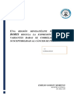 Raras variantes BORIS-MS2 correlacionadas con riesgo de cáncer pulmonar