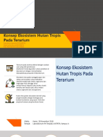 Ekosistem Hutan Tropis Pada Terrarium Kelompok 9 IPA B