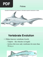 Fish Classification