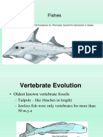 Fish Classification