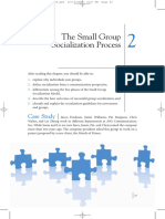 Small Group Socialization PDF