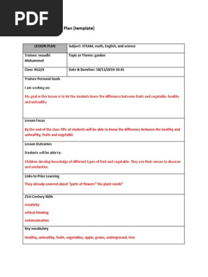 Lesson Plan Healthy and Unhealthy