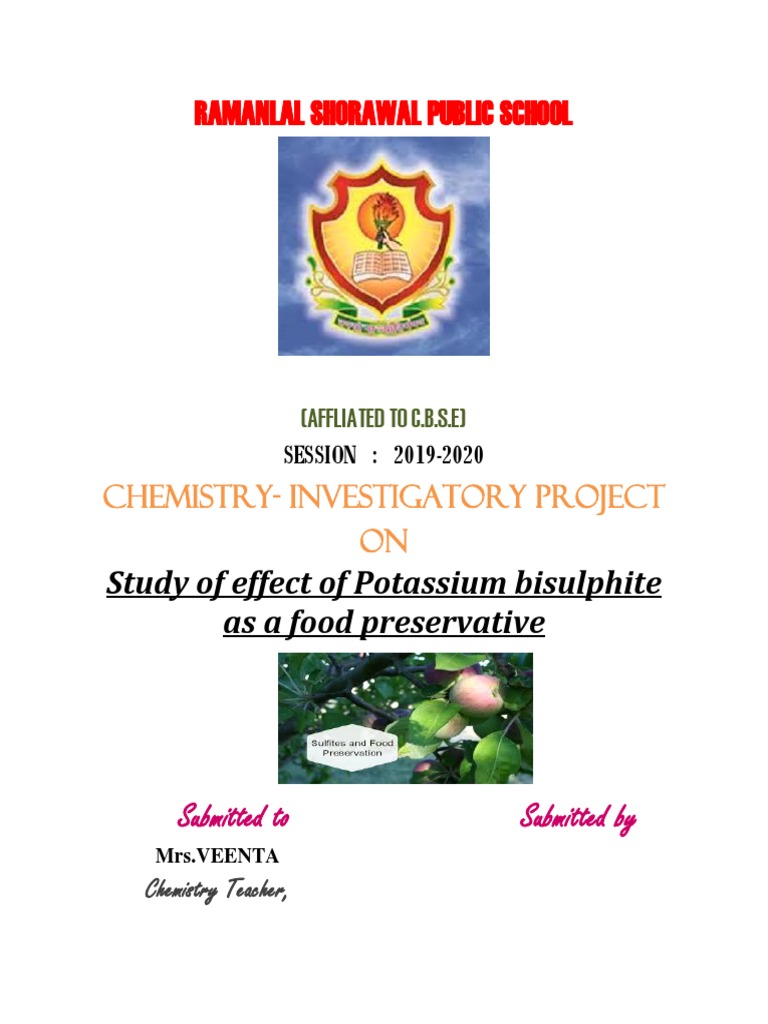 Sunny Project of Class 12 Chemistry | PDF | Food Preservation | Fruit ...
