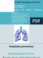 Equipo 4 "Neoplasias Pulmonares"