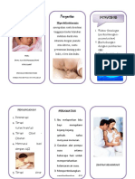 LEFLAT HIPERBILIRUBIN