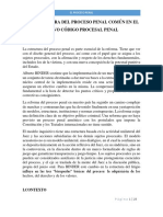 La Estructura Del Proceso Penal Común en El Nuevo Código Procesal Penal