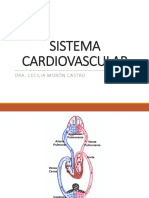 Semana 06.1 (Sistema Cardiovascular)