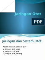 Jaringan Otot