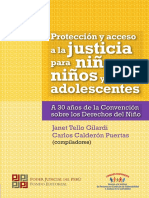 CSJPerú - “Protección y acceso a la justicia para niñas, niños y adolescentes. A 30 años de la Convención sobre los Derechos del Niño”. 