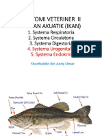 Anatomi Veteriner II Hewan Akuatik (Ikan) - 2017