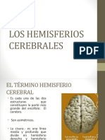 Los Hemisferios Cerebrales