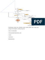 Lipolisis, Ketogenesis, Kolesterol