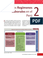 SERVIR - El servicio civil peruano - Cap2.PDF