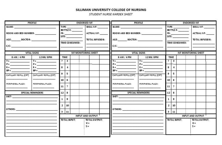 Student Nurse Kardex Sheet | Health Care | Public Health