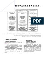 13-26-equilibrios-acrobacias-acrosport.pdf