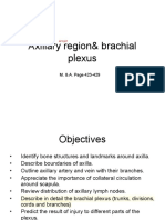  Axillary Region& Brachial Plexus