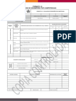 Formato 10 - Evaluación de Desempeño Por Competencias