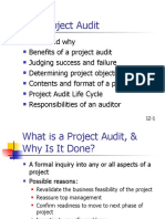 22 Project Audit