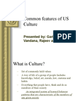 Common Features of US Culture