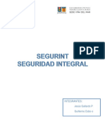 Informe SEGURINT