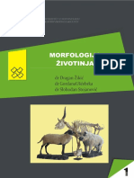 Morfologija Zivotinja PDF