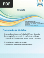 Aula Estágio SLIDES