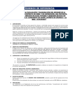TDR Elaboración Del Informe Final de Liquidación