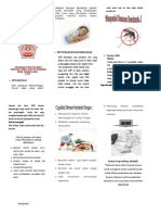 LEAFLET DHF.doc